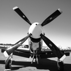 Mustang 0108