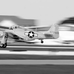 Mustang 0599