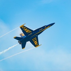Blue Angel 4909
