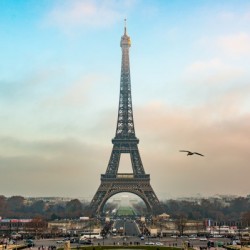 Eiffel Tower 5099
