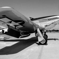 Mustang 6576