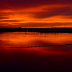 Sunset 7929
