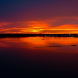 Sunset 7931