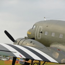 D80 9009
