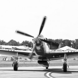 Mustang 9022