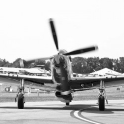 Mustang 9023