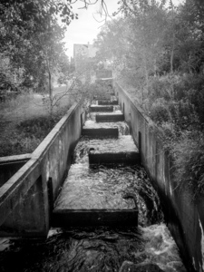Fish Ladder