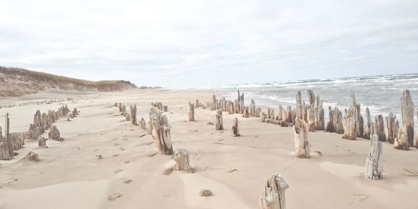 St. Peters Harbour PEI by Loopy Lupin Photography