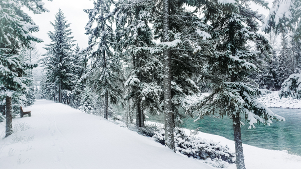 Winter Walks by Loopy Lupin Photography