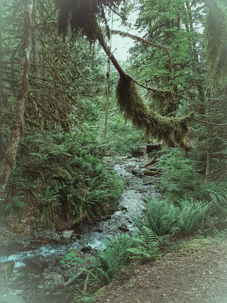 Camp With Me by Loopy Lupin Photography