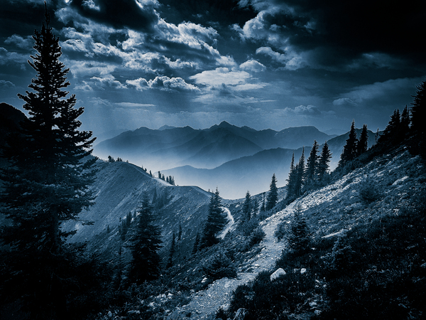 View From The Top by Loopy Lupin Photography