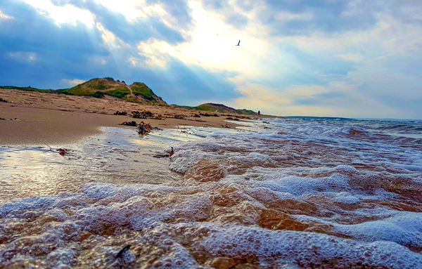 Brackley Beach by Loopy Lupin Photography