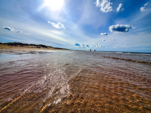 Paridise  by Loopy Lupin Photography