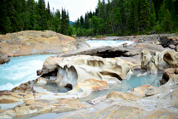Natures River Art by Loopy Lupin Photography