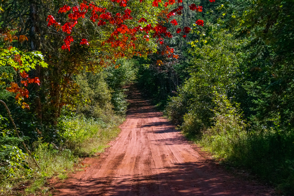 Red Dirt Road by Loopy Lupin Photography