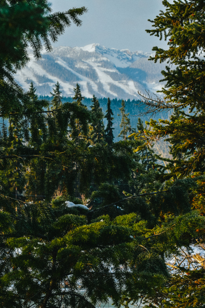 Kicking Horse Mountain Resort by Loopy Lupin Photography