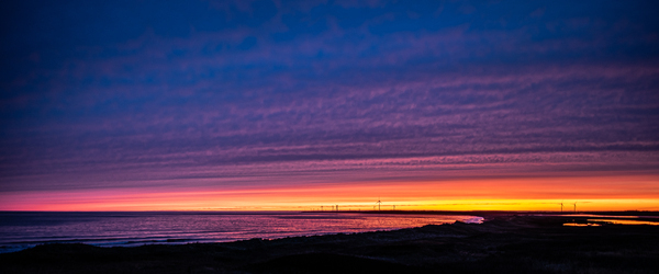 Rise Up by Loopy Lupin Photography