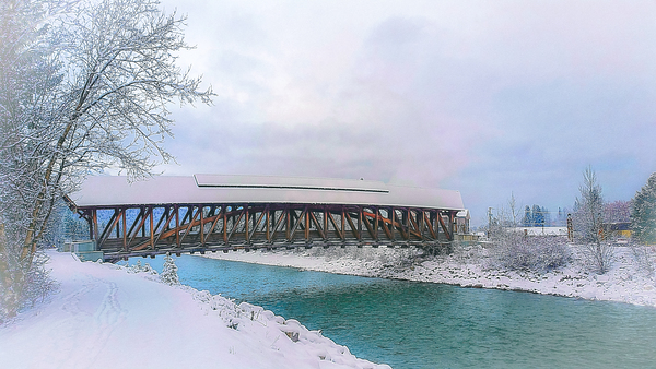 Golden Kicking Horse Pedestrian Bridge  by Loopy Lupin Photography