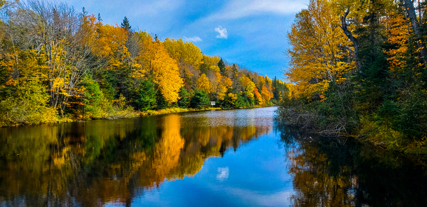 Autumn Reflection by Loopy Lupin Photography