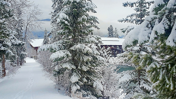 Winter Wonderland by Loopy Lupin Photography