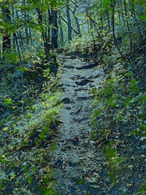 Up the mountain