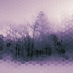Pure purple