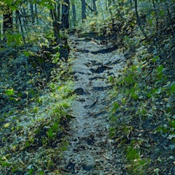 Up the mountain