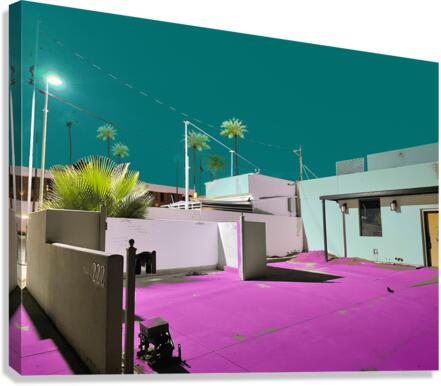 Palm Springs 1A Canvas Print