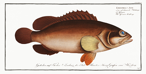 Mutton Hamlet