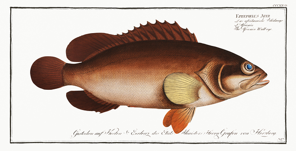 Mutton Hamlet Print