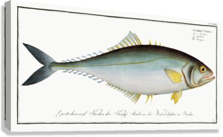 Castin Leatherjacket Canvas Print