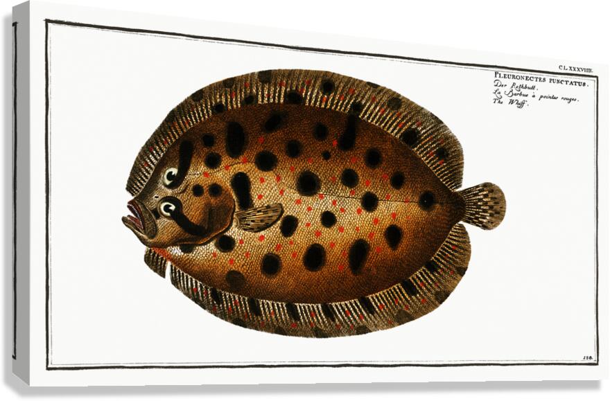Topknot Canvas Print