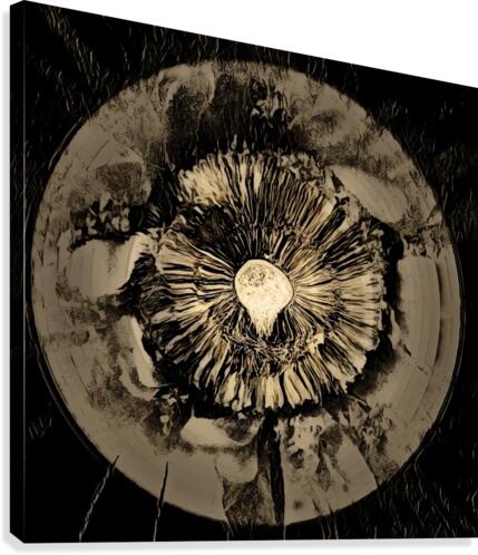 The Source Canvas Print