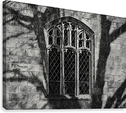 Shadow on gothic window Canvas Print