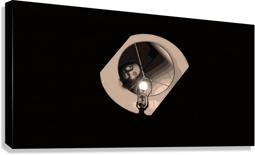 Crazed - landscape Canvas Print