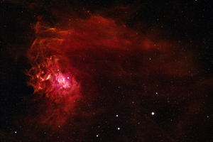 The Flaming Star Nebula
