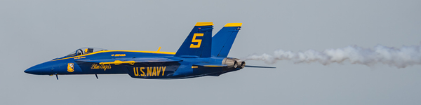 Bless Angel 5 Solo Pass Print