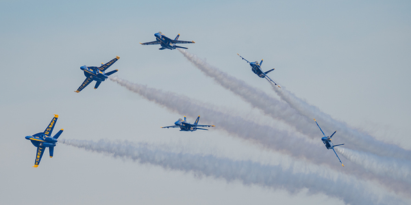 Blue Angels Delta Breakaway Print
