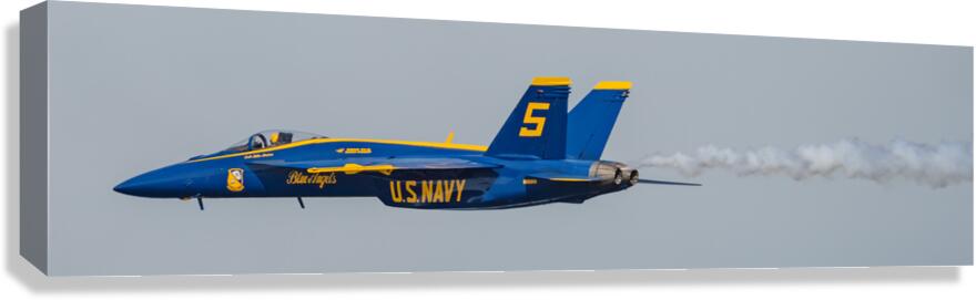 Bless Angel 5 Solo Pass Canvas Print