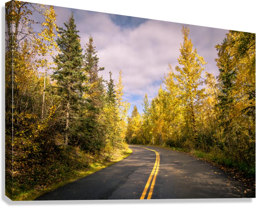 Fall Road Canvas Print