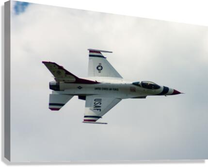 Thunderbird in Flight Canvas Print