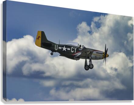 Returning From Duty Canvas Print