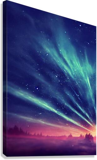 Aurora Borealis Canvas Print