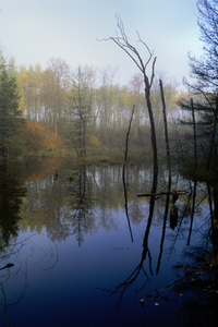 Reflections E0141