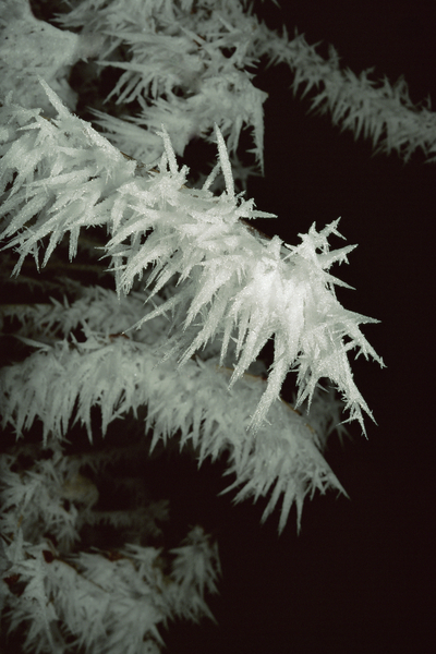 Frost E008a Print