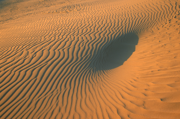 Sunset Light on Sand Dune E0104 by Marquart Natural Images