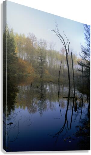 Reflections E0141 Canvas Print
