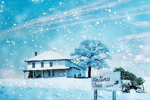 Winter The Four Seasons