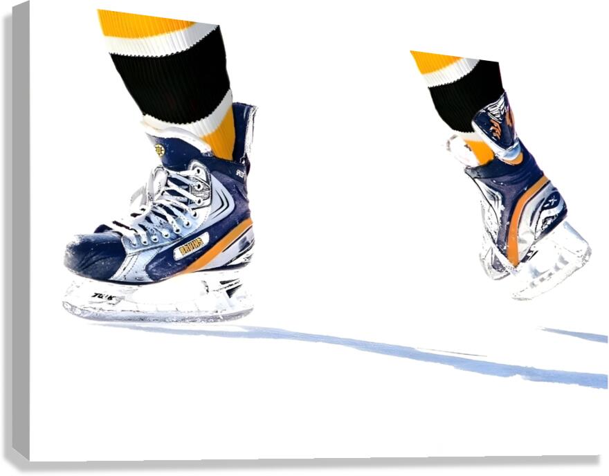Skate Time Canvas Print