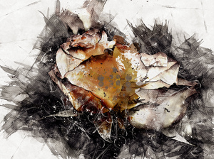 PaintedRose